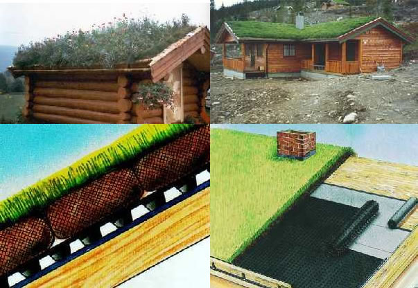 Turf eco friendly roofs